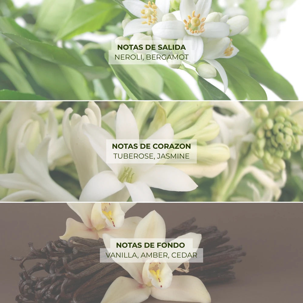 PERFUME AMADO RESPLANDOR MELY Y MES FAVORIS 50ML