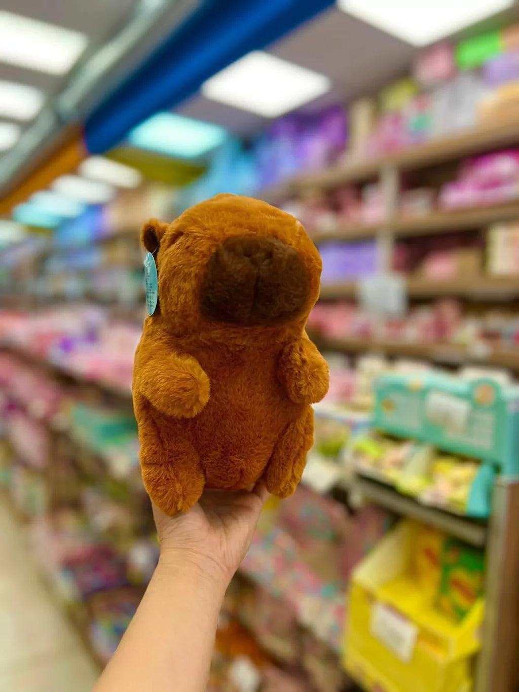 Peluche capybara 20cm