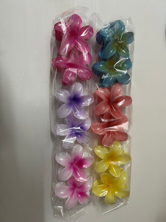 Broche para pelo HAWAIANO x12u