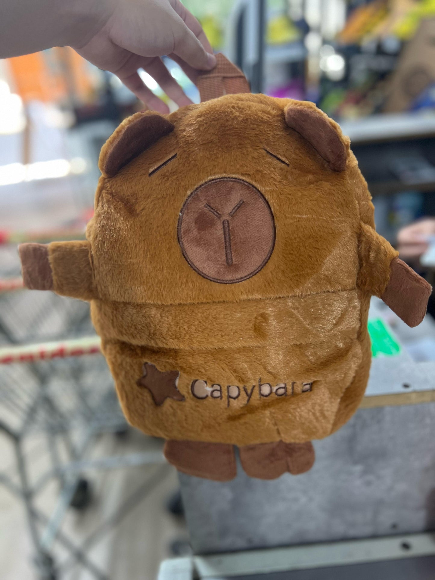 mochila felpa capybara 30x24x13cm