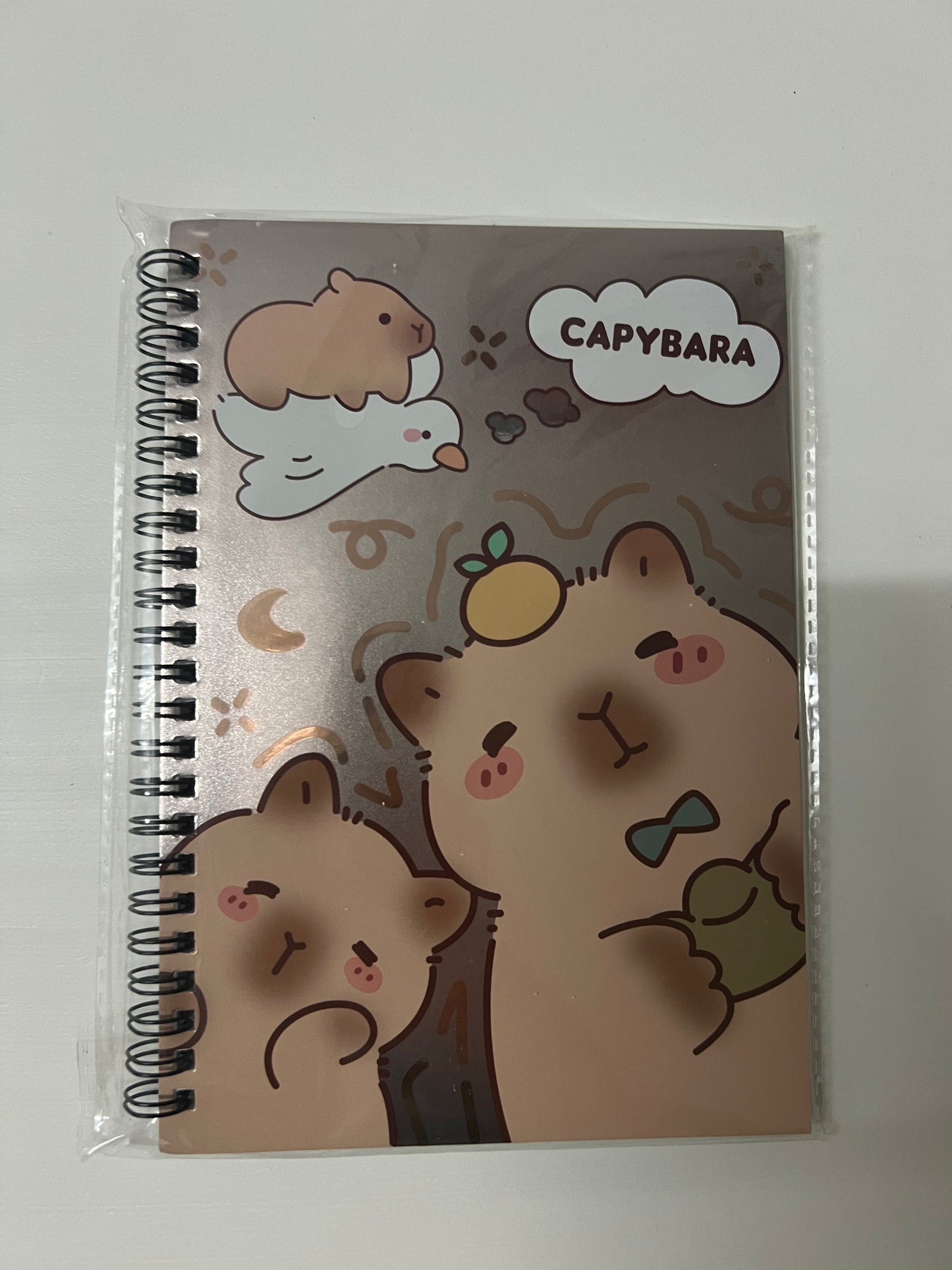 ANOTADOR CAPYBARA 21 x 14.5 CM