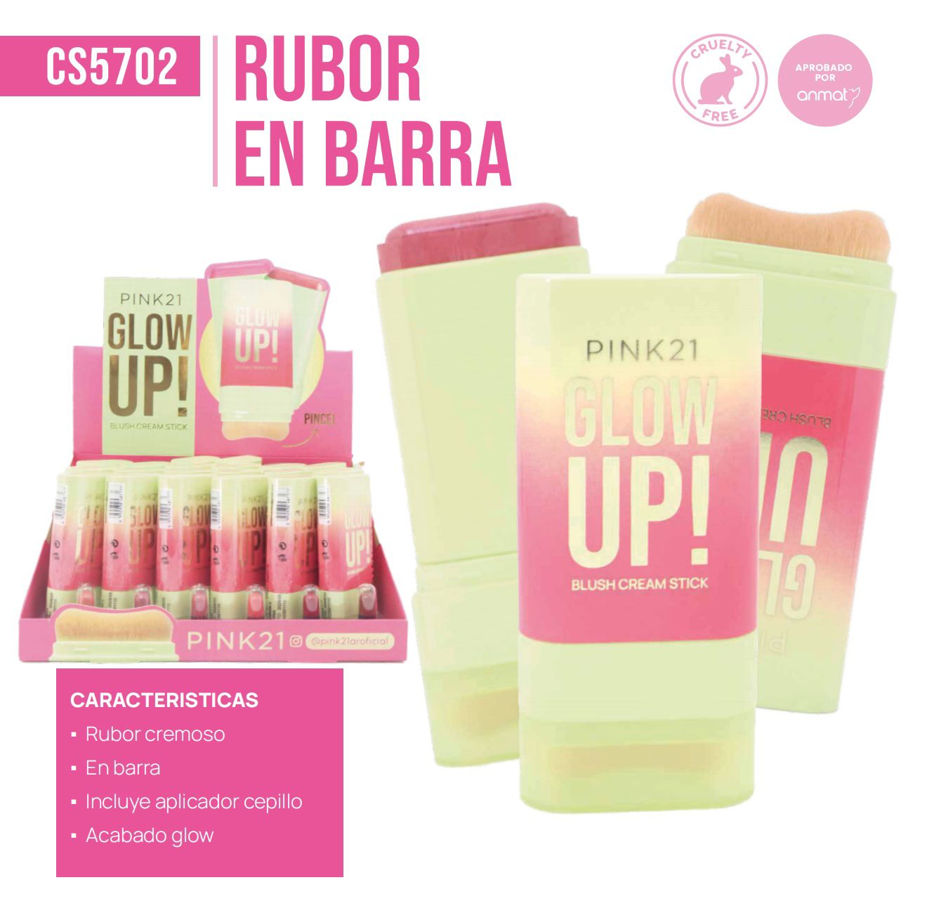 CAJA X 24U RUBOR EN BARRA CON BROCHA PINK21 CS5702