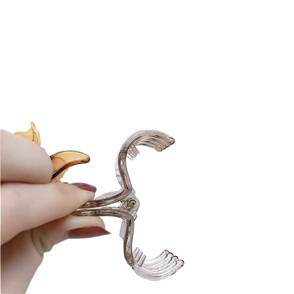 Pack Broche trasparente x 12 pcs