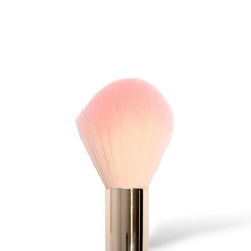 BROCHA MAQUILLAJE PARA POLVO PROTOOLS MELYBEAUTY
