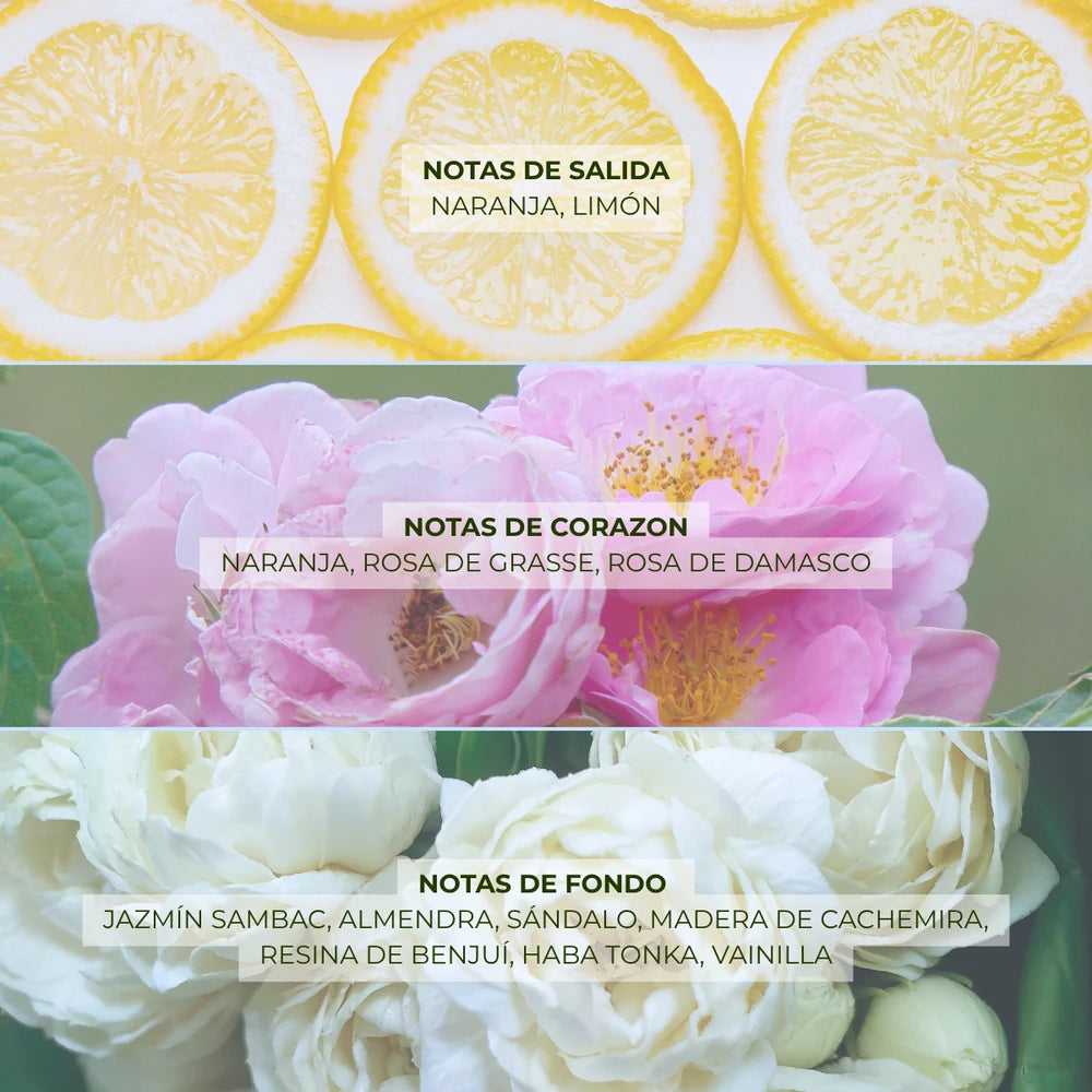PERFUME CHAMP DES ROSES MELY CEREMONIE DES ROSES 5