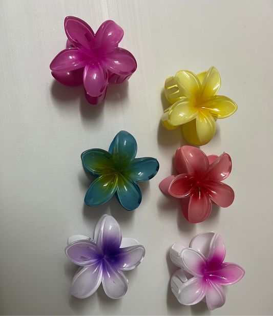 Broche para pelo HAWAIANO x12u