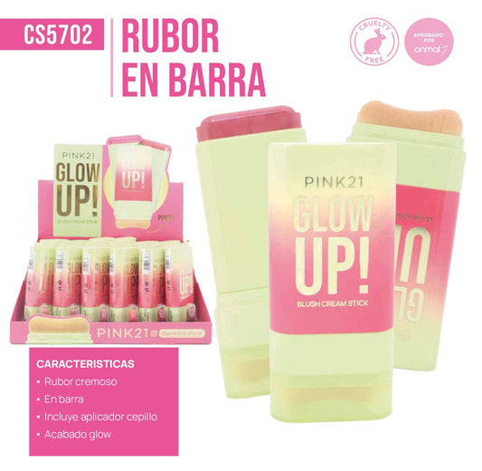 CAJA X 24U RUBOR EN BARRA CON BROCHA PINK21 CS5702