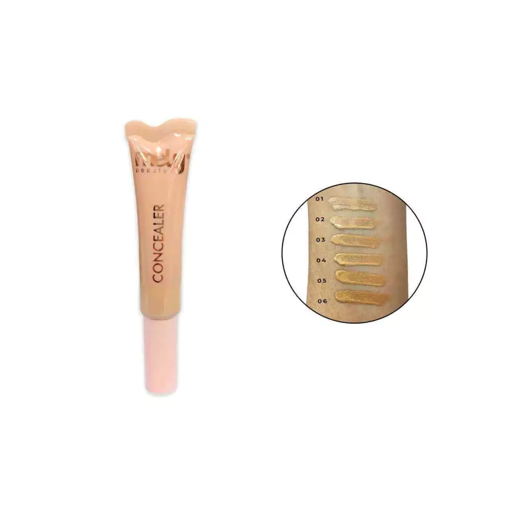 CAJA X24U CORRECTOR LÍQUIDO PERFECT DAY MELY