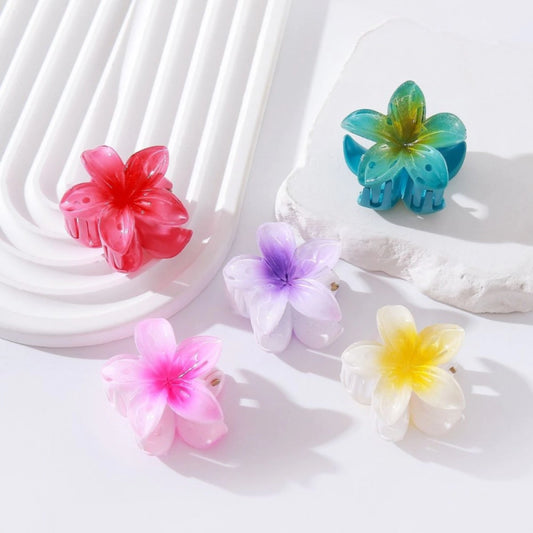 Pack x12blister Broche Flor Bali Degrade Hwaiiana de 2pcs